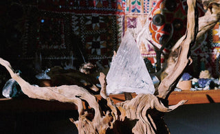 POSITIVE ENVIRONMENTS ONLY: you can easily change your life