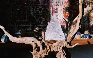 POSITIVE ENVIRONMENTS ONLY: you can easily change your life