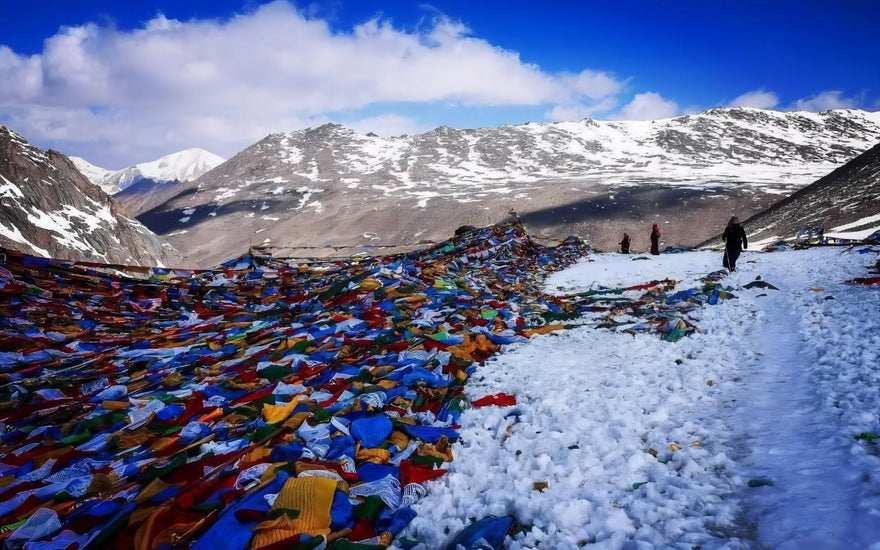 Kailash Darshan: Beyond the Physical Journey