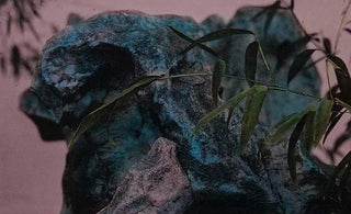 Zen Stone Gardens: Artistic Balance for Meditation