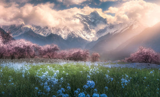 Does heaven on earth really exist?