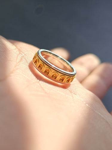 Lotus Blessing Ring | Sterling Silver and Gold Protective Energy Band