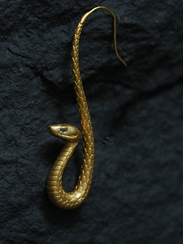 Daily Energy Boundary Earrings | Gold Snake Hook Style