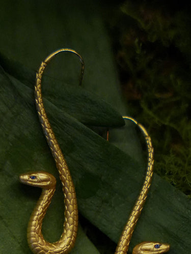 Daily Energy Boundary Earrings | Gold Snake Hook Style