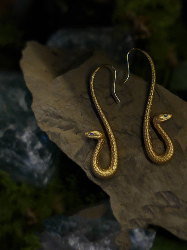 Daily Energy Boundary Earrings | Gold Snake Hook Style