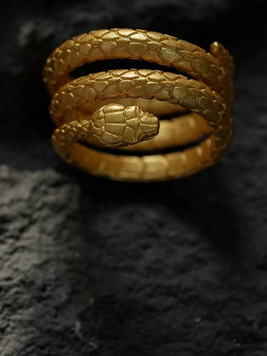 Serpent Coil Ring of Renewal — Snake Totem Symbol of Inner Awakening