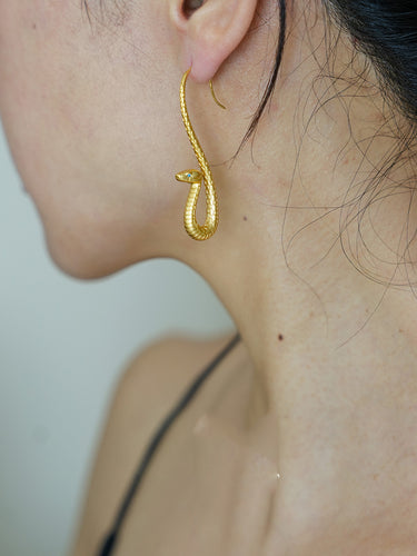 Daily Energy Boundary Earrings | Gold Snake Hook Style