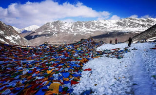 Kailash Darshan: Beyond the Physical Journey