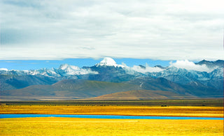 The Fusion of Natural Beauty and Spirit
