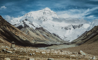 A Witness to Earth's History
