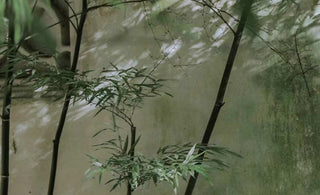 Auspicious meaning of Oriental aesthetics: the integration and transformation of traditional decorative patterns