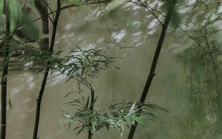 Luxe Authenticity: Best Oriental Living Collections