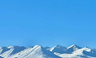 Exploring the Profound Meaning of Buddhist Prayer Flags' Classic Texts