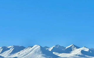 Exploring the Profound Meaning of Buddhist Prayer Flags' Classic Texts