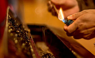 Path to freedom: Exploring the transformative teachings of Buddhism