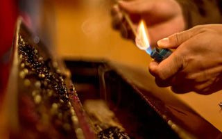 Path to freedom: Exploring the transformative teachings of Buddhism