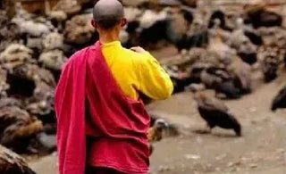 Exploring the essence, figure and significance of the Bodhisattva Ideal in Buddhism in spiritual evolution