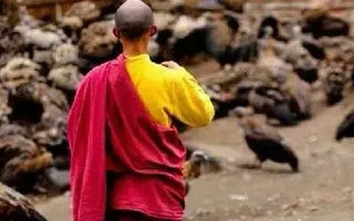 Exploring the essence, figure and significance of the Bodhisattva Ideal in Buddhism in spiritual evolution