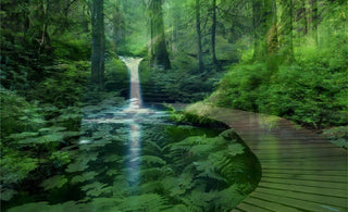  Garden of Calm: Infusing Tranquility with Soft Green