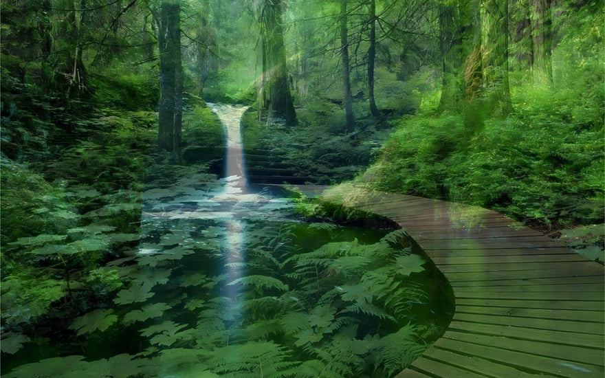  Garden of Calm: Infusing Tranquility with Soft Green