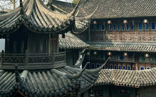 Serene Escapes: Unveiling the Charm of Jiangnan Gardens