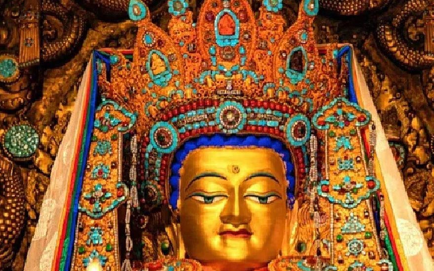 Exploring the transformative power of Buddhist teachings in breaking the chains of suffering towards liberation