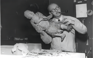 After dissecting the Buddha, I was shocked...