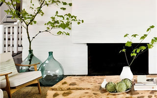 Down to Earth: Grounding Zen Living Rooms with Natural Elements