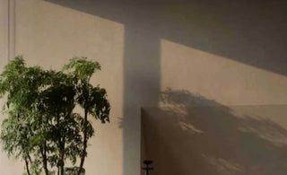 Zen Power of Now: Nurturing Present-Centered Awareness