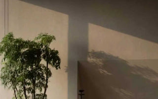 Zen Power of Now: Nurturing Present-Centered Awareness
