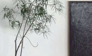 Zen Havens: Crafting Tranquility with Zen Gardens