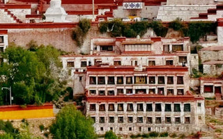 Bodhisattva Ideal: Nourishing the seed of compassion with the Bodhisattva Ideal