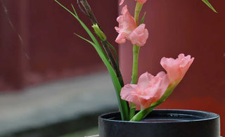 Wisdom in Parables: Zen Stories and Enigmatic Koans