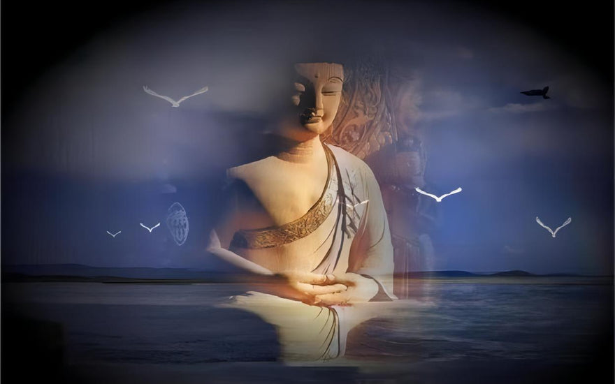 Cultivating Compassion: Nurturing a Mindset of Benevolence
