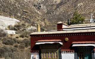 Life of Buddha and the secrets of mediation revealed from the ancient murals