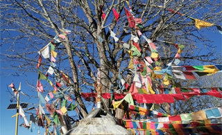 Flagging for Peace: Spreading Harmony with Buddhist Prayer Flags