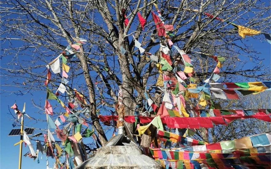 Flagging for Peace: Spreading Harmony with Buddhist Prayer Flags