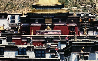 The revered in Tibetan Buddhism: Exploring the enigmatic life and teachings of Padmasambhava