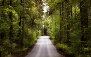 Navigating the Complex Landscape of People-Pleasing: A Path to Liberation