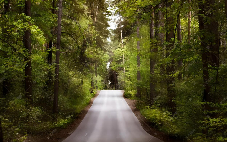 Navigating the Complex Landscape of People-Pleasing: A Path to Liberation