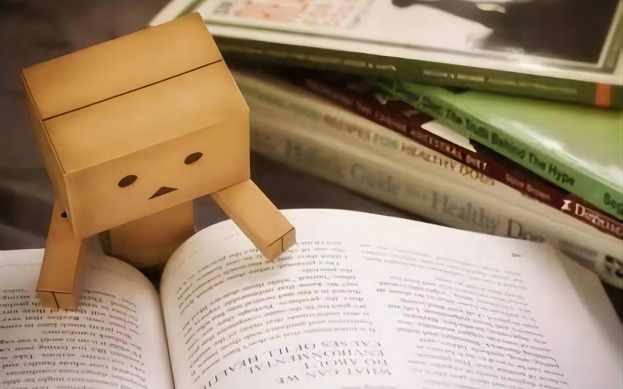 Cultivating Resilience: The Symbiosis of Emotional Intelligence and Insight