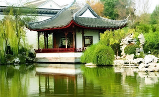 Evoking Emotions: The Power of Classic Oriental Artistic Expression