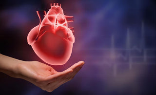 Secrets of the Heart: Your Essential Guide to Understanding and Maintaining Heart Health