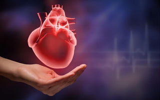 Secrets of the Heart: Your Essential Guide to Understanding and Maintaining Heart Health