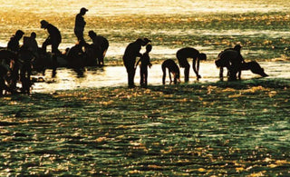 Uncovering the unique customs and traditions observed during the Bathing Week of Tibetan