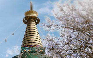 The cultural Marvel: Diving into the vibrant world of Tibetan Opera