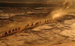 Silk Road Archaeological Sites: Traces of Ancient Commerce