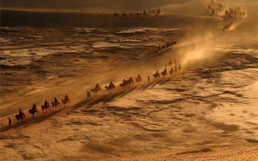 Silk Road Archaeological Sites: Traces of Ancient Commerce
