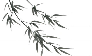  Calligraphy of Zen: Elegant Wall Art Inspired by Zen Teachings