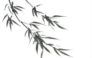  Calligraphy of Zen: Elegant Wall Art Inspired by Zen Teachings